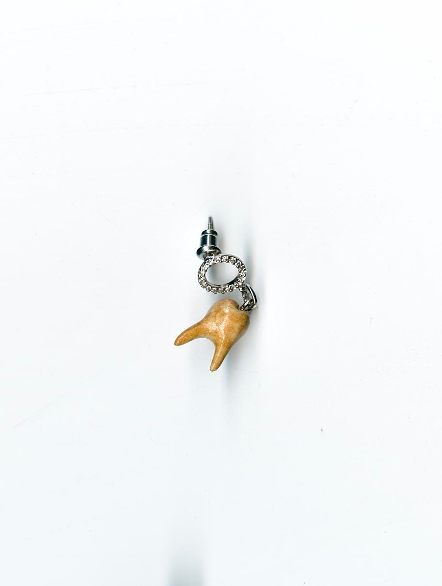 Sample Rotten Earring