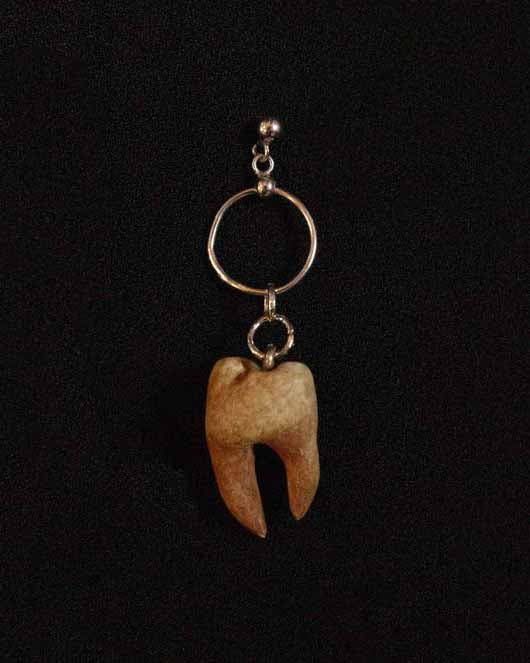 Danielle Tooth Stud